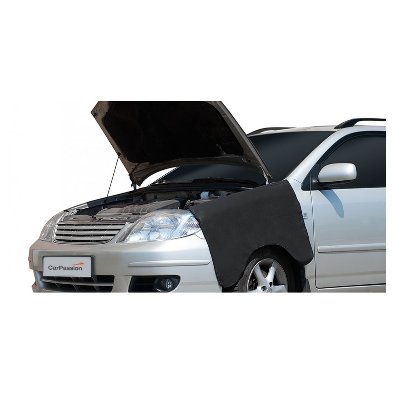 Автомобилна защита